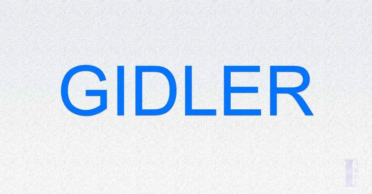 What is Gidler? - Everything You Need To Know